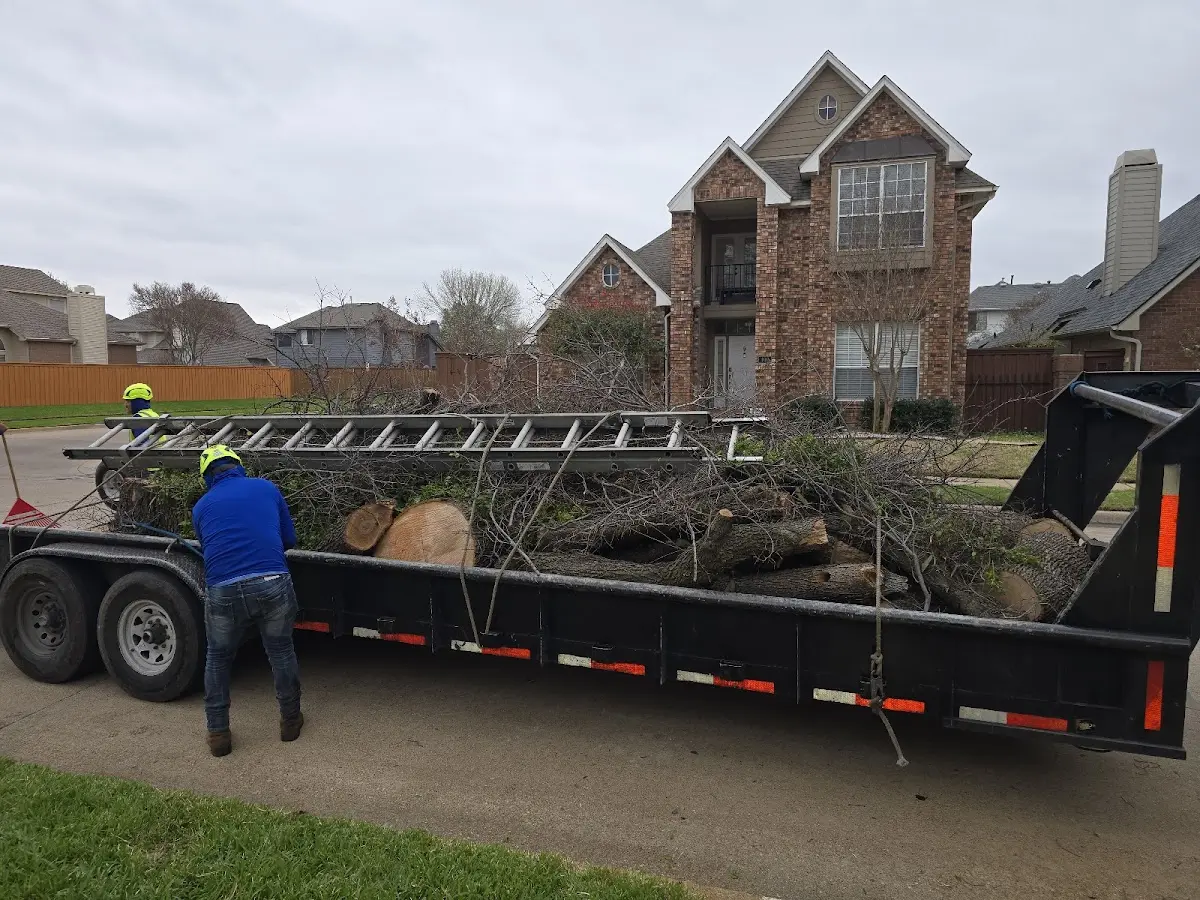 Expert Lot Clearing with proper safety equipment in Rose Hill